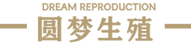 圆梦宝贝
